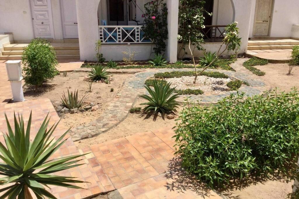 Beyt Alzohour - Casa Dei Fiori Apartman Dahab Kültér fotó